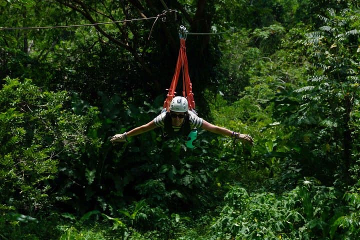 Nativo Zipline Canopy Tour & Superman Cable in Limón, Costa Rica photo 4
