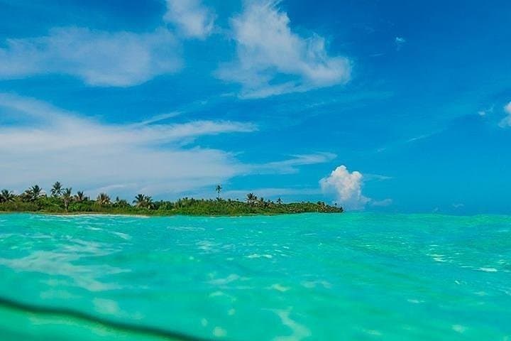 Sian Ka'an Boat Tour from Playa del Carmen — Snorkel Reefs, Mangroves & Punta Allen photo 5