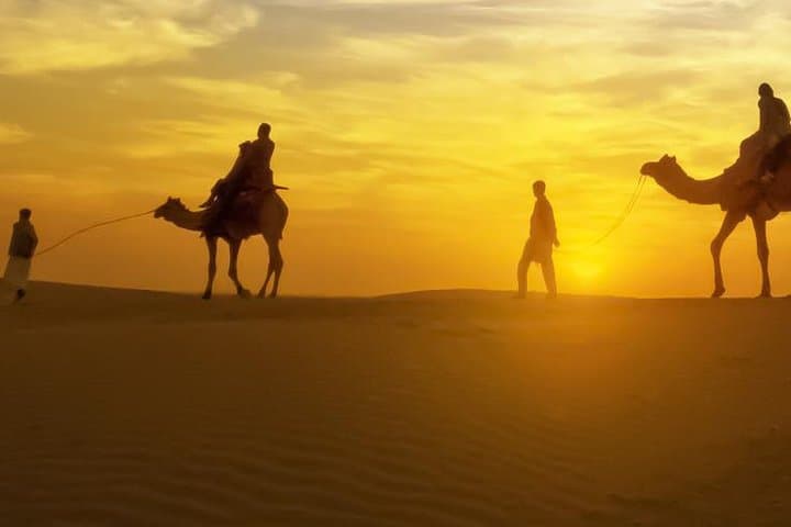 Evening Camel Ride & Traditional Dinner in the Agafay Desert photo 2