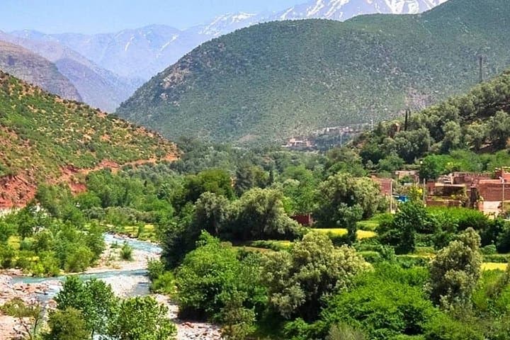 Ourika Valley Day Trip from Marrakech — Berber Villages, Seven Waterfalls & Argan Cooperatives photo 3
