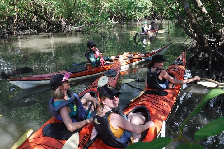 Kayak Paraty: Mangroves, Islands & Hidden Beaches of Paraty Bay photo 5