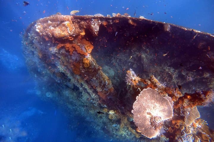 Tulamben Discover Scuba Diving: Introductory Dive to the USAT Liberty & Coral Garden photo 3