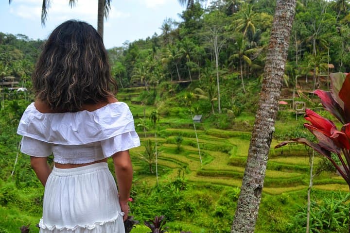 Ubud Monkey Forest & Highlights: Rice Terraces, Waterfall and Balinese Art in a Day photo 2