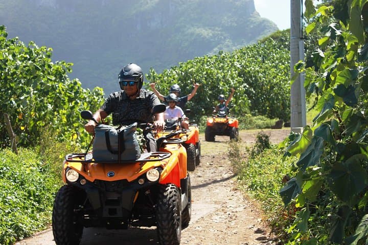 Bora Bora Quad Adventure: 3-Hour ATV Island Discovery with Local Guide photo 2