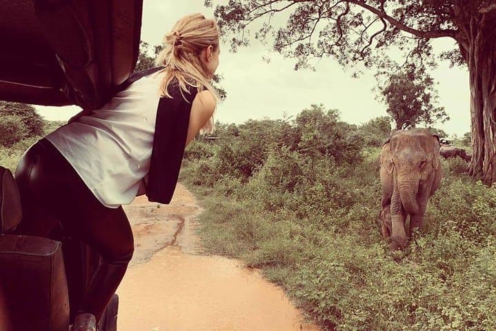 Udawalawe Safari from Ella — Afternoon Elephant Encounters & Birding photo 2