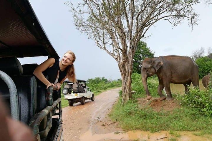 Udawalawe Safari from Ella — Afternoon Elephant Encounters & Birding