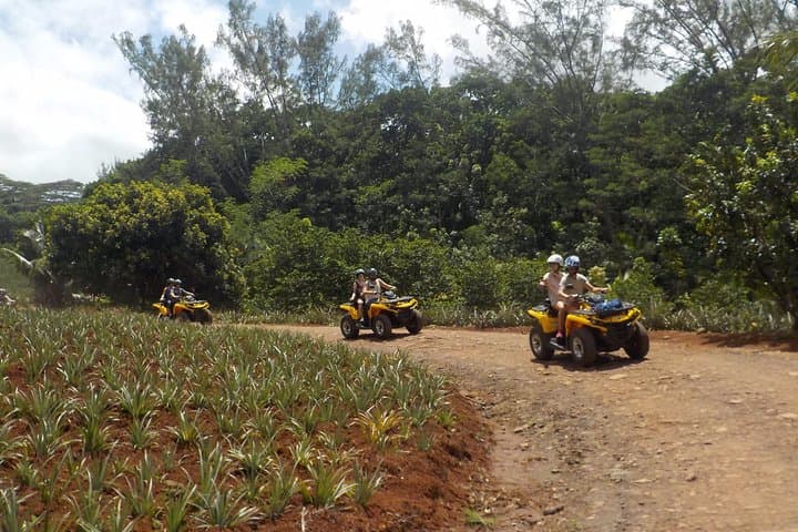 Moorea Small Quad Tour: 2.5-Hour ATV Adventure to Belvedere & Pineapple Fields photo 2