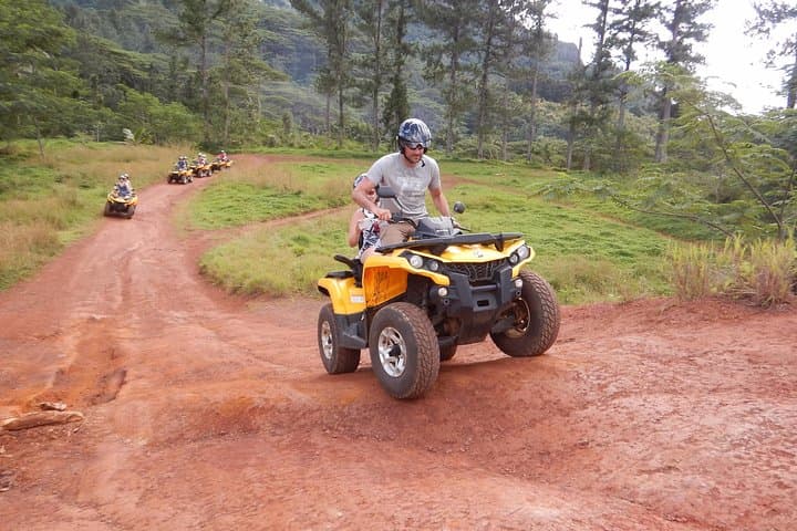 Moorea Small Quad Tour: 2.5-Hour ATV Adventure to Belvedere & Pineapple Fields photo 3