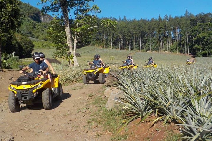 Moorea Small Quad Tour: 2.5-Hour ATV Adventure to Belvedere & Pineapple Fields photo 4