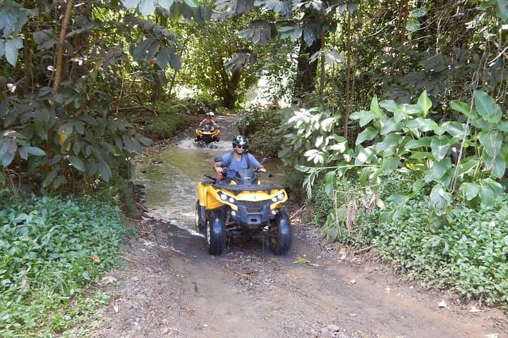 Moorea Small Quad Tour: 2.5-Hour ATV Adventure to Belvedere & Pineapple Fields photo 5