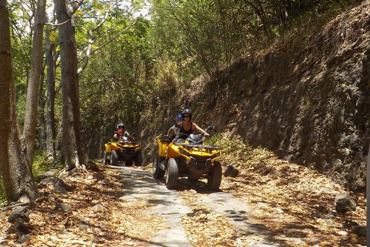 Moorea Small Quad Tour: 2.5-Hour ATV Adventure to Belvedere & Pineapple Fields photo 6