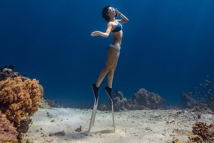 Bunaken 3-Point Snorkeling: Fast Boat Day Trip from Manado photo 3
