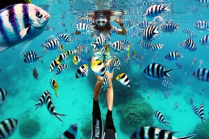 Bunaken 3-Point Snorkeling: Fast Boat Day Trip from Manado
