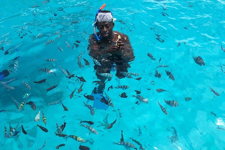 Pongwe Coral Reef Snorkeling — Dhow Trip to Pongwe Bay, Zanzibar photo 4