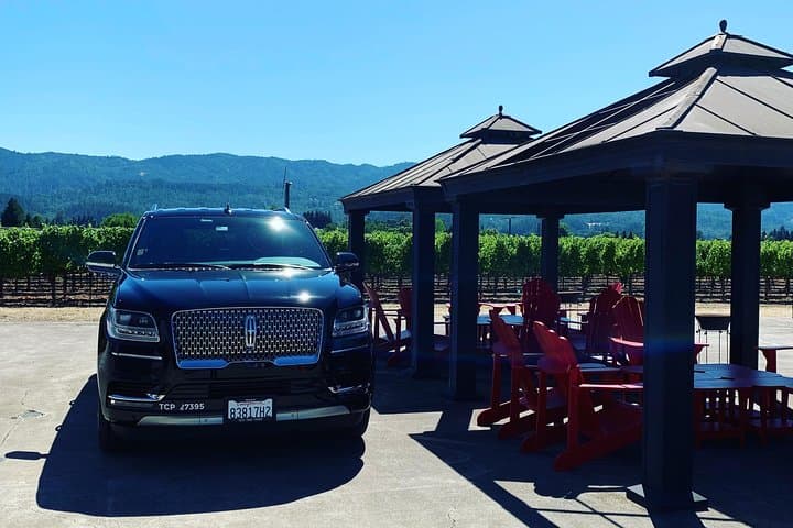 Private Napa and Sonoma Wine Tour — 6-Hour Chauffeured Tasting Experience photo 3