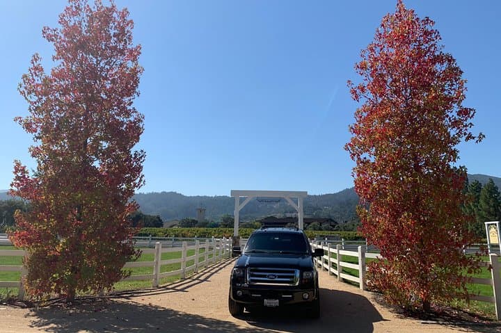 Private Napa and Sonoma Wine Tour — 6-Hour Chauffeured Tasting Experience photo 5