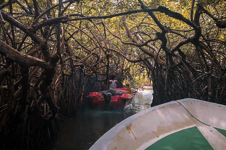 Bentota Beach Getaway: 8-Day Coastal Escape with Madu River Boat Ride photo 5
