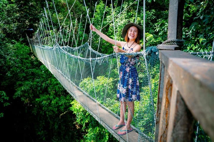 Kinabalu Park to Poring Hot Springs: Full-Day Canopy Walk & Botanical Trails