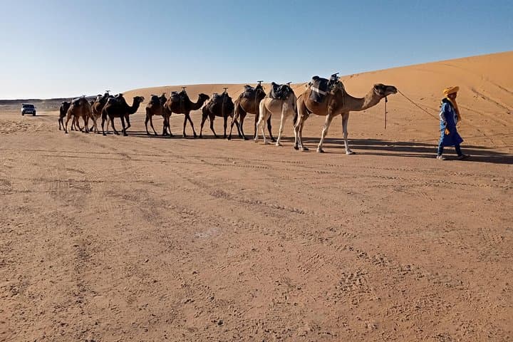 Across the Dunes: Small-Group 3-Day Desert Trip From Fez to Marrakesh photo 2