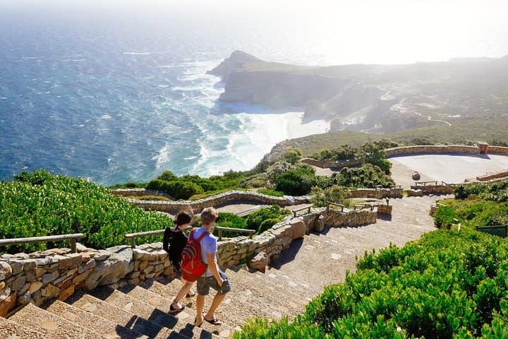 Full-Day Cape Point & Peninsula Tour — Chapman's Peak, Penguins, and the Cape of Good Hope photo 2
