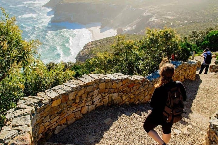 Full-Day Cape Point & Peninsula Tour — Chapman's Peak, Penguins, and the Cape of Good Hope photo 4