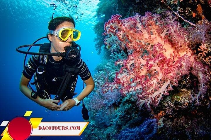 Cham Island Snorkeling Day Trip from Hoi An: Beaches, Reefs & Fishing Villages photo 6