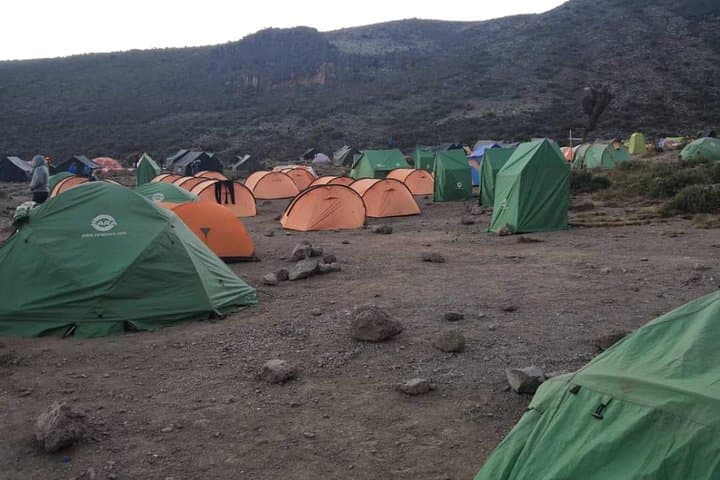 Conquer Kilimanjaro via the Machame Route: A 6-Day Ascent from Moshi photo 4