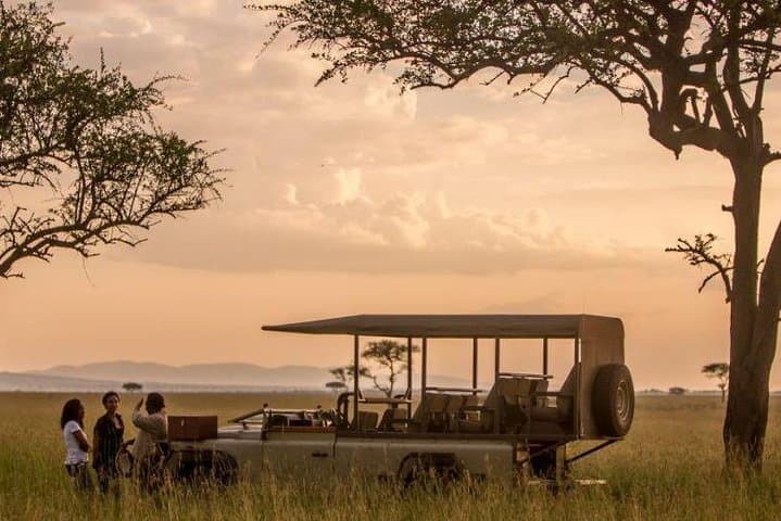 Exclusive 5-Day Luxury Tanzania Safari: Serengeti, Ngorongoro & Lake Manyara