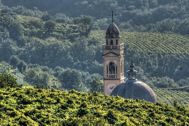 E-bike Valpolicella Vineyards: Ride with the Winemaker and Amarone Tasting photo 3