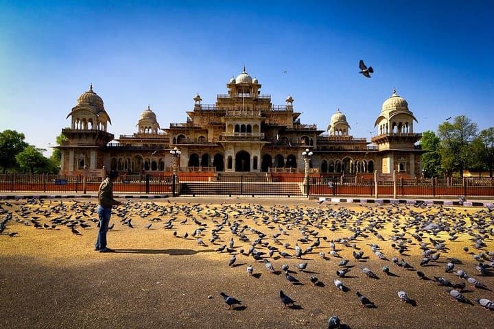 Golden Triangle India: 7-Day Private Tour with Bharatpur Bird Sanctuary photo 6