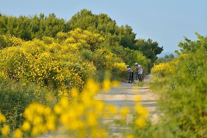 Cycling Vodice: Historic Coastal Bike Tour with Wine Tasting photo 2