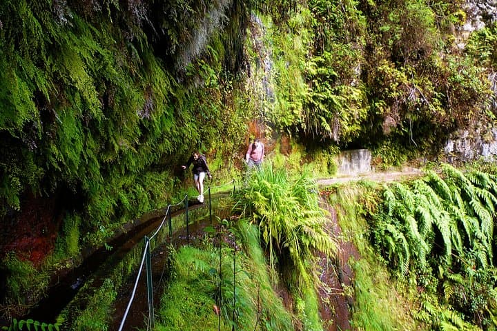 King's Levada (Levada do Rei) — Ribeiro Bonito Day Hike in Madeira photo 4