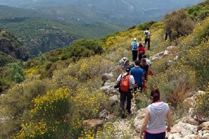 Coastal Hike from Nafplio to Argolic Beaches: Chapels, Swim Stops & Ancient Paths photo 6
