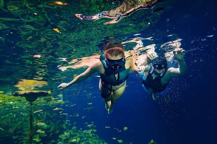 Explore the Four Mayan Xenotes on the Ruta de los Cenotes from Cancun photo 2