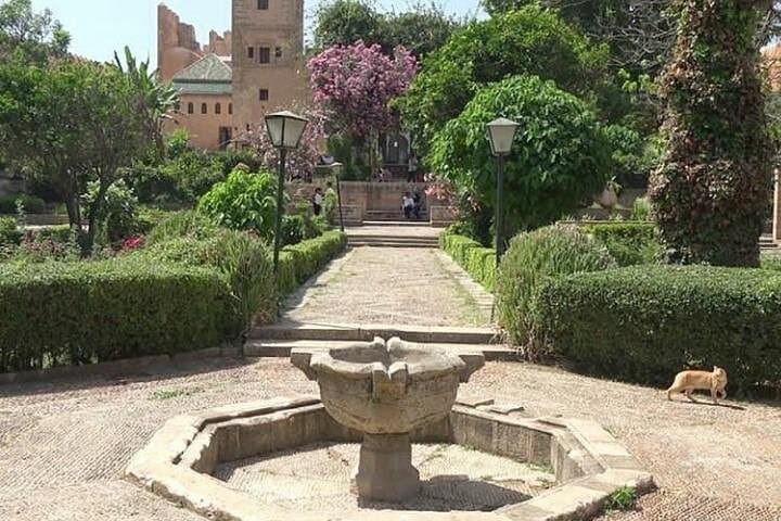 Rabat in a Day: Private Guided Tour from Fez to Oudayas Kasbah & Hassan Tower photo 2