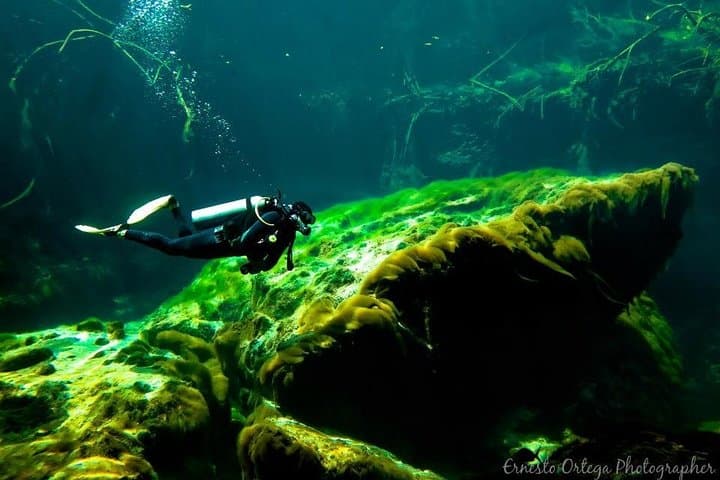 Casa Cenote Beginner Dive — Tulum Cenote Intro & Refresher (12 m, 40 min) photo 3