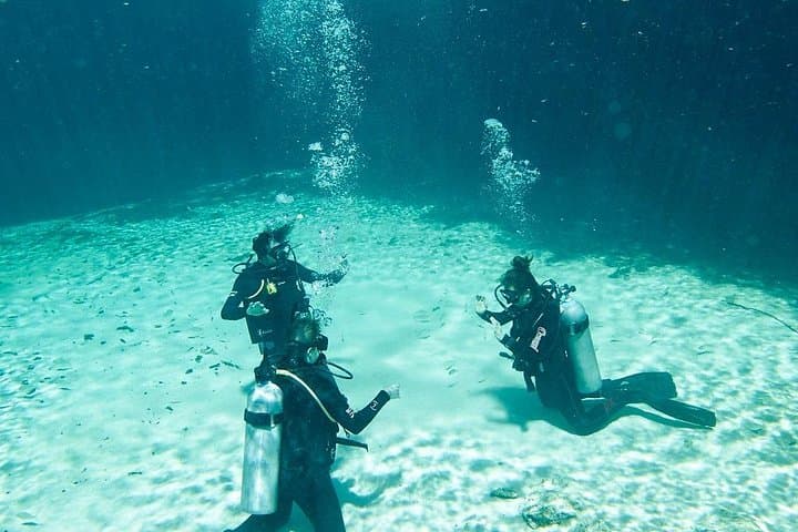 Casa Cenote Beginner Dive — Tulum Cenote Intro & Refresher (12 m, 40 min) photo 5