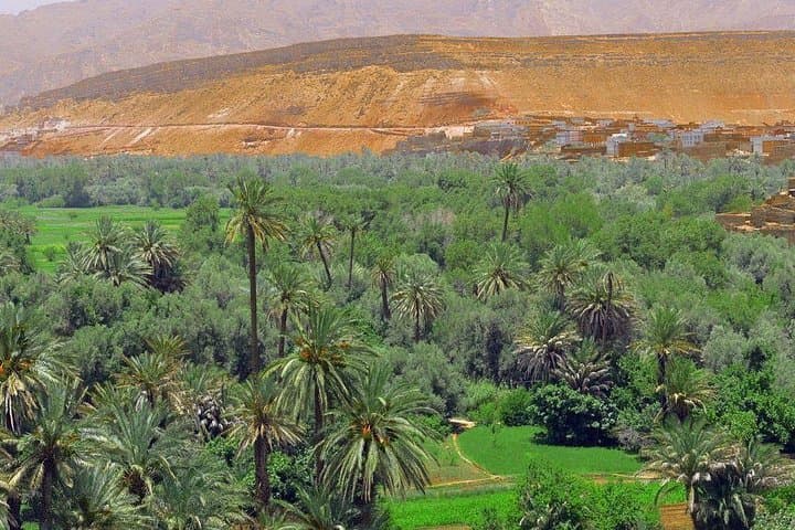 Five-Day Berber Villages and Gorges: Marrakech to Ouzoud Waterfalls photo 2