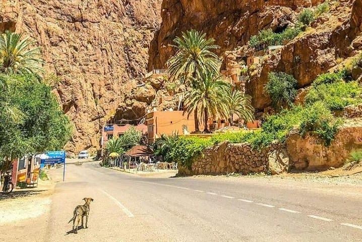 Five-Day Berber Villages and Gorges: Marrakech to Ouzoud Waterfalls photo 5