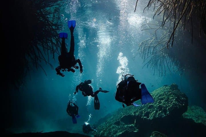 Advanced Cenote Deep Dives in Tulum: Pit & Dos Ojos Cavern Scuba photo 5