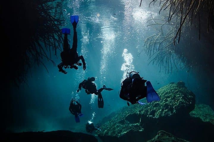 Cenote Diving in Tulum: Two-Tank Cavern Dives at Casa Cenote and Dos Ojos photo 4