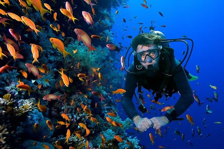 Utopia Island VIP Snorkel from Luxor — Full-Day Red Sea Reefs & Beaches photo 3