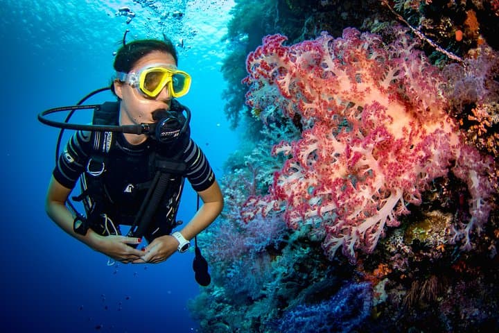 Utopia Island VIP Snorkel from Luxor — Full-Day Red Sea Reefs & Beaches photo 4