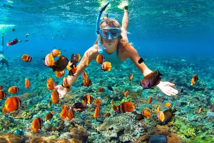 Utopia Island VIP Snorkel from Luxor — Full-Day Red Sea Reefs & Beaches photo 6