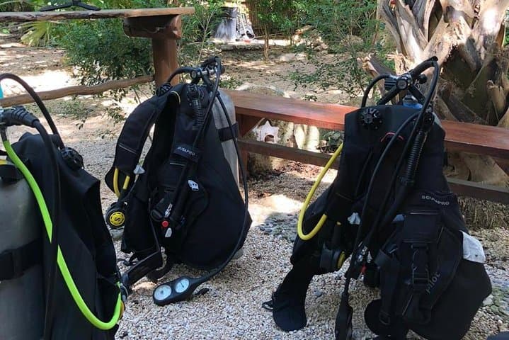 Cenote Diving in Tulum: Two-Tank Cavern Dives at Casa Cenote and Dos Ojos photo 6