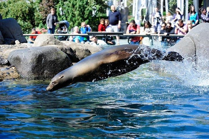 Central Park Zoo Tickets & 4D Theater: What to Know Before You Go photo 4