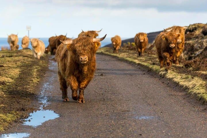 Highlands, Glencoe & Loch Ness Private Day Tour from Edinburgh