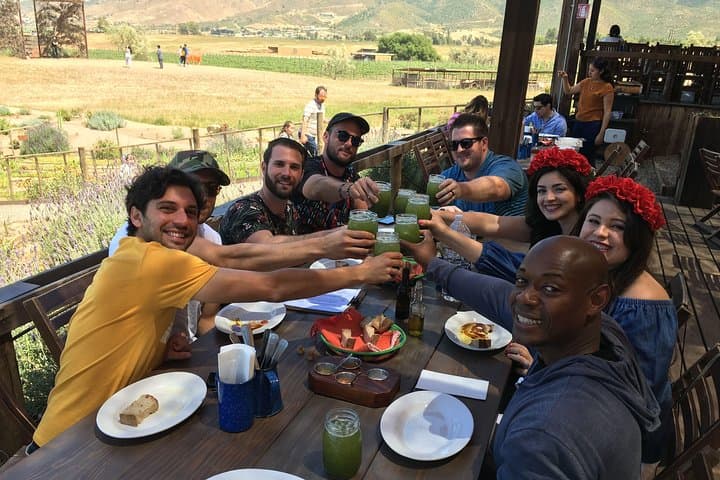 Full-Day Luxury Wine Tasting in Valle de Guadalupe from San Diego