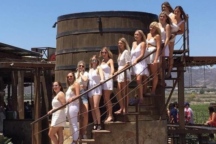 Full-Day Luxury Wine Tasting in Valle de Guadalupe from San Diego photo 6