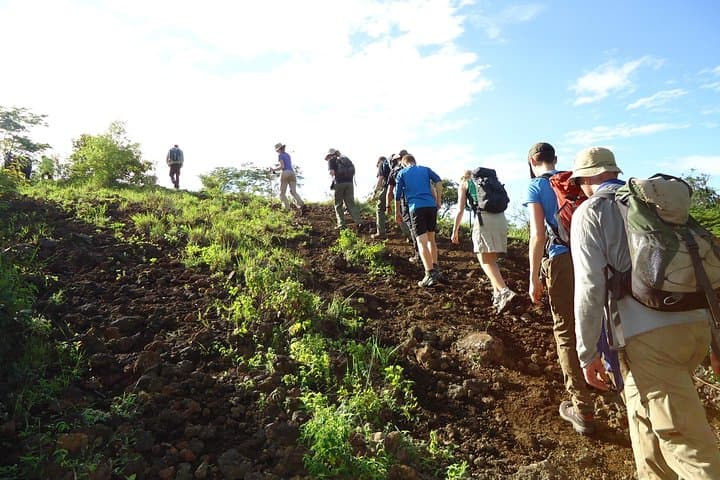 El Hoyo Volcano Hike: Craters, Fumaroles & Panoramic Views Near León photo 3
